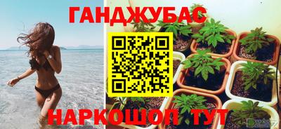 индика Нарткала
