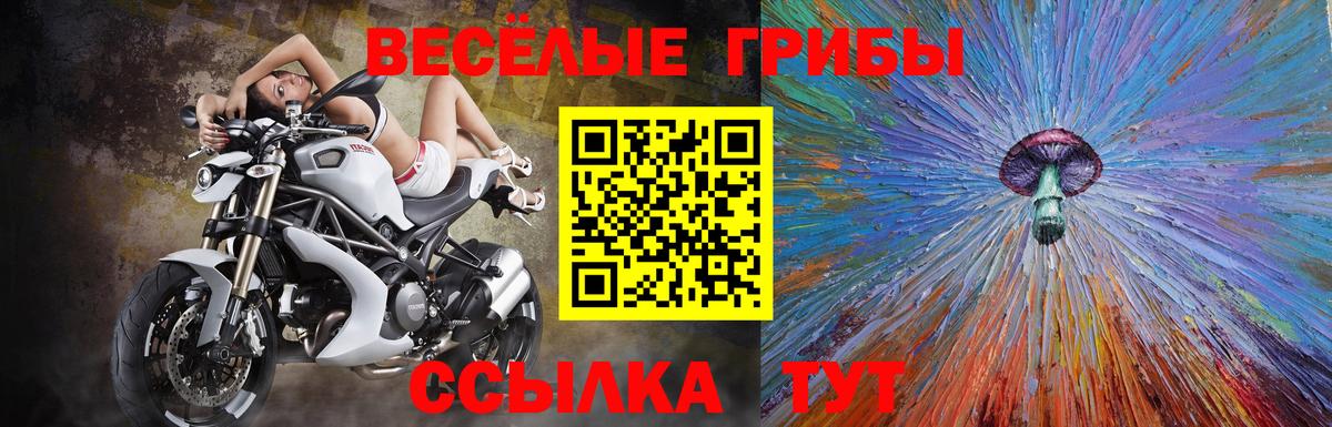 Псилоцибиновые грибы Magic Shrooms Тверь