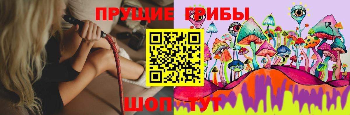 Галлюциногенные грибы Cubensis  Вход с VPN  Тверь 